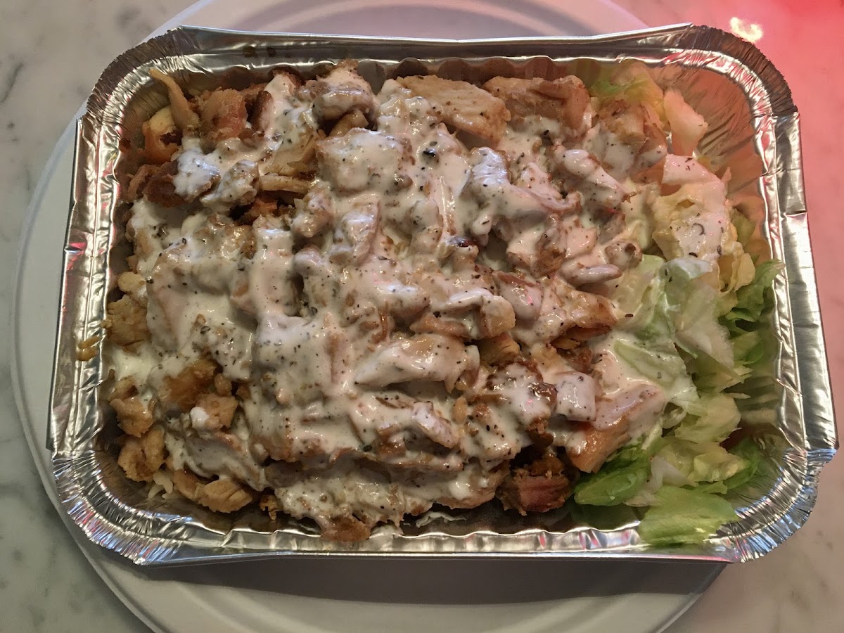 Halal Paradise Grill Food Cart